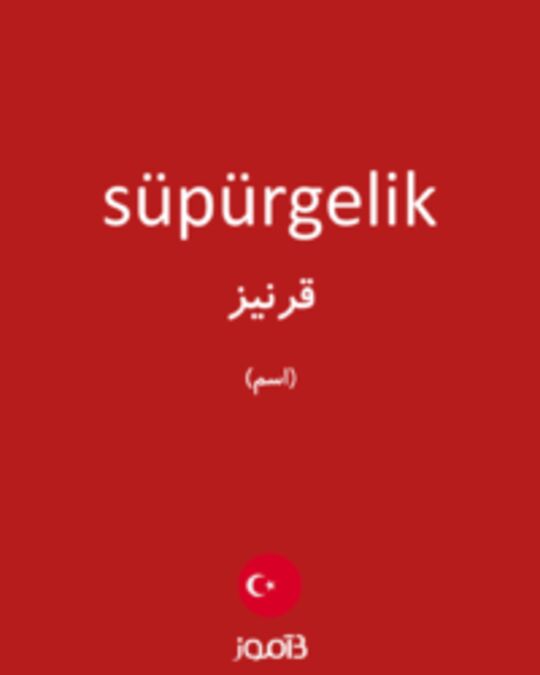  تصویر süpürgelik - دیکشنری انگلیسی بیاموز