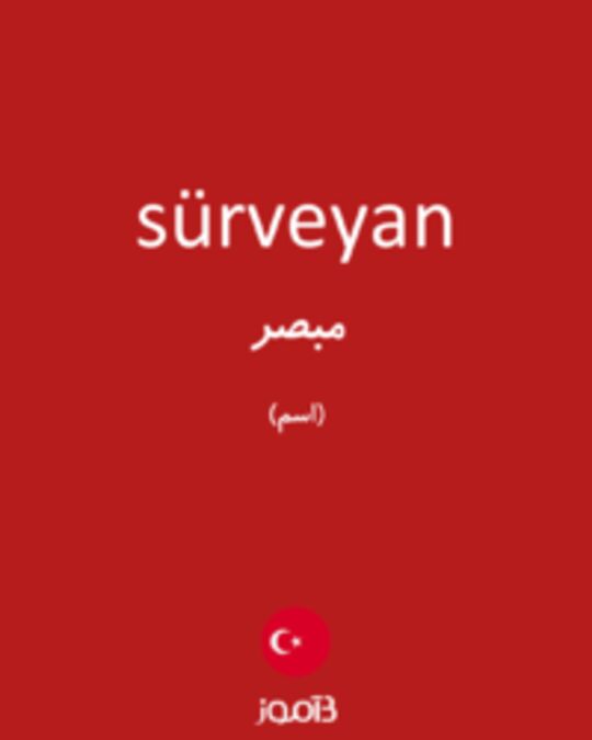  تصویر sürveyan - دیکشنری انگلیسی بیاموز