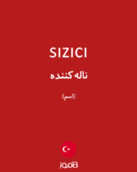  تصویر sızıcı - دیکشنری انگلیسی بیاموز