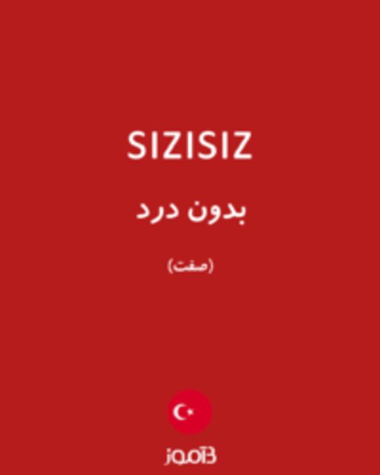  تصویر sızısız - دیکشنری انگلیسی بیاموز