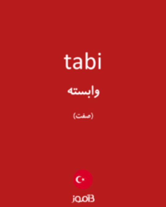  تصویر tabi - دیکشنری انگلیسی بیاموز