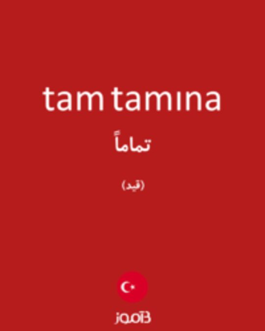  تصویر tam tamına - دیکشنری انگلیسی بیاموز