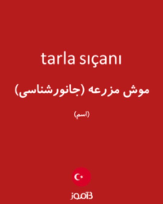  تصویر tarla sıçanı - دیکشنری انگلیسی بیاموز