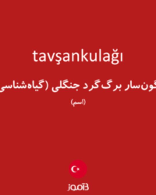  تصویر tavşankulağı - دیکشنری انگلیسی بیاموز