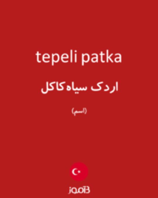  تصویر tepeli patka - دیکشنری انگلیسی بیاموز