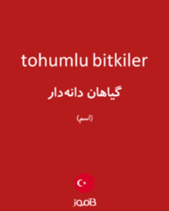  تصویر tohumlu bitkiler - دیکشنری انگلیسی بیاموز