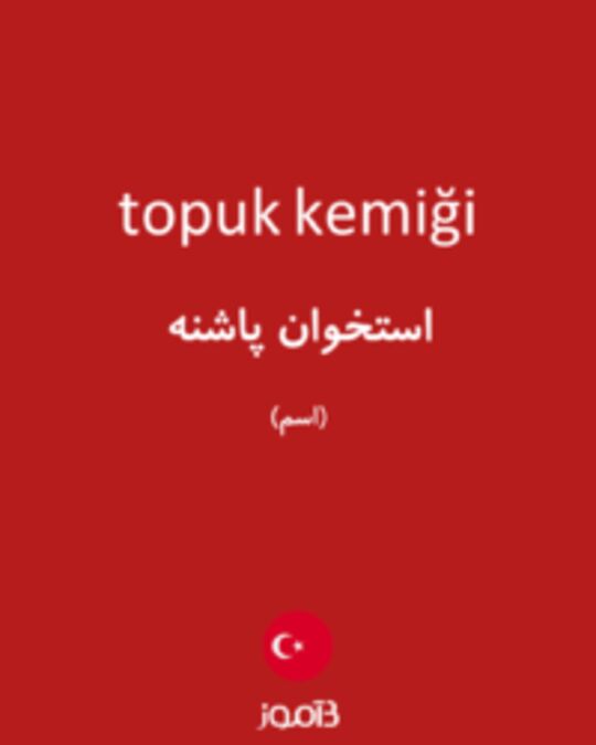  تصویر topuk kemiği - دیکشنری انگلیسی بیاموز