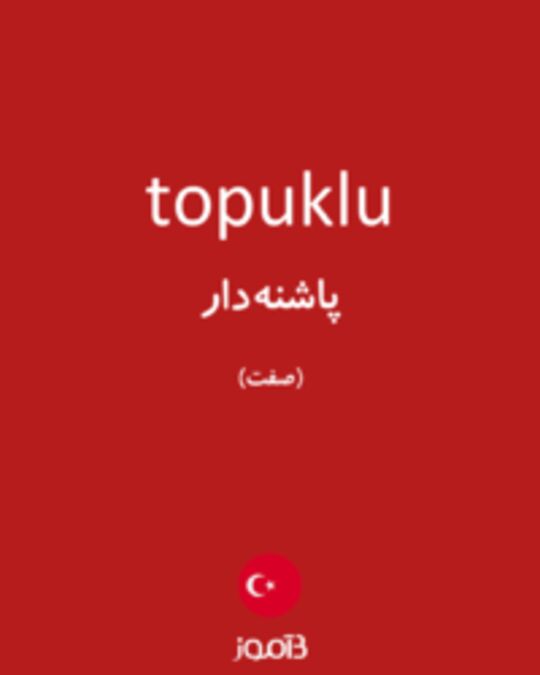  تصویر topuklu - دیکشنری انگلیسی بیاموز