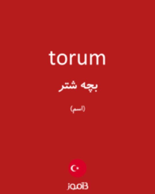  تصویر torum - دیکشنری انگلیسی بیاموز