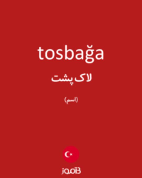  تصویر tosbağa - دیکشنری انگلیسی بیاموز