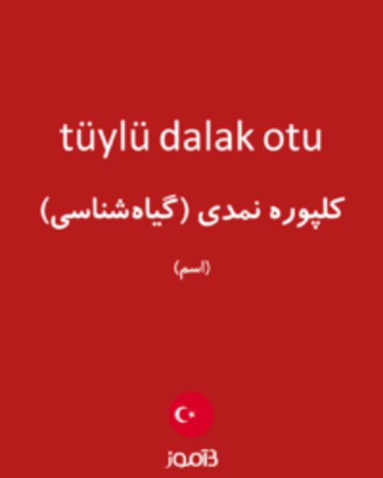  تصویر tüylü dalak otu - دیکشنری انگلیسی بیاموز