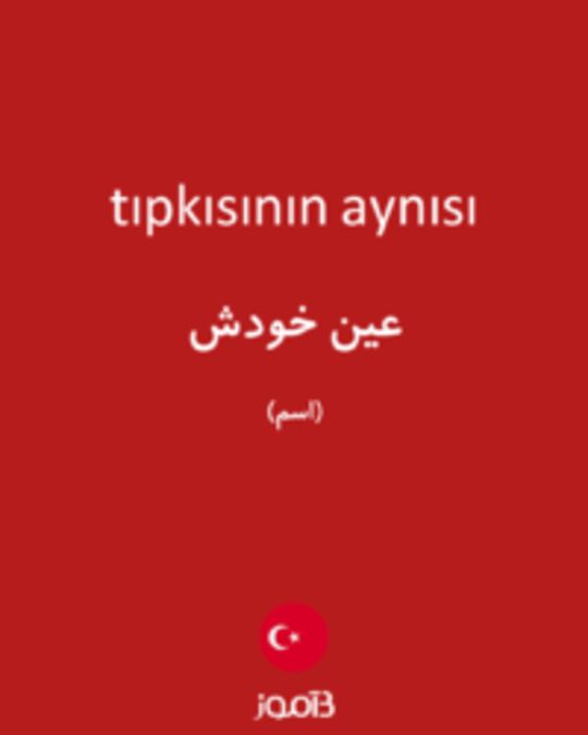  تصویر tıpkısının aynısı - دیکشنری انگلیسی بیاموز