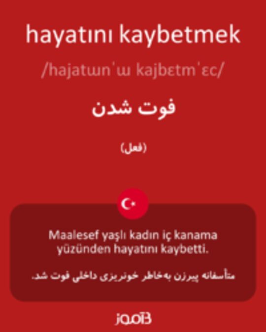  تصویر hayatını kaybetmek - دیکشنری انگلیسی بیاموز