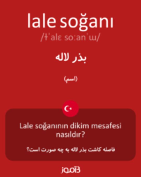  تصویر lale soğanı - دیکشنری انگلیسی بیاموز