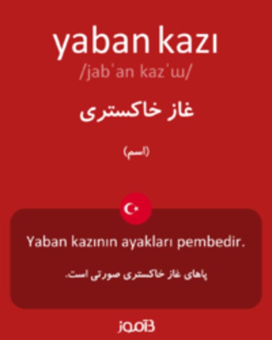  تصویر yaban kazı - دیکشنری انگلیسی بیاموز