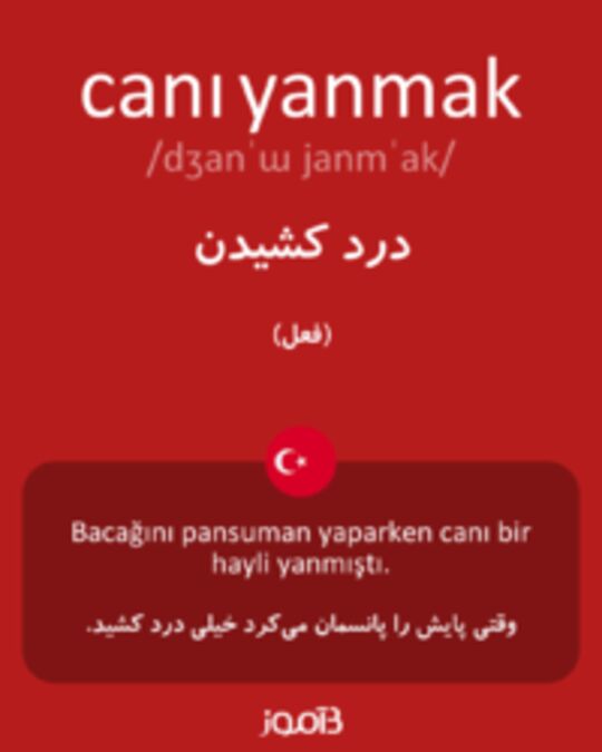  تصویر canı yanmak - دیکشنری انگلیسی بیاموز