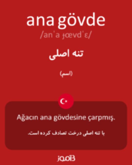  تصویر ana gövde - دیکشنری انگلیسی بیاموز