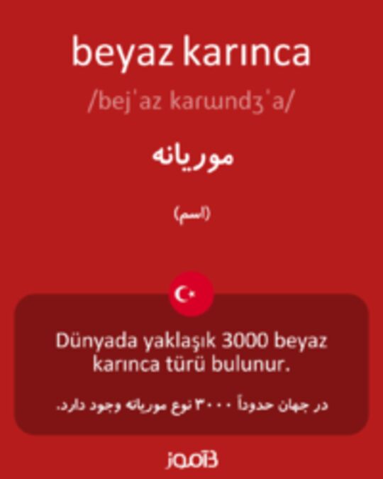  تصویر beyaz karınca - دیکشنری انگلیسی بیاموز