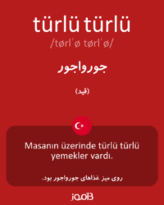  تصویر türlü türlü - دیکشنری انگلیسی بیاموز