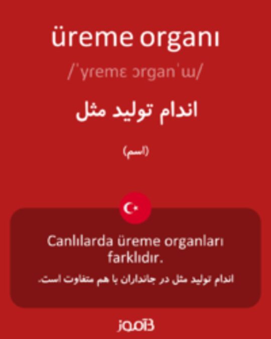  تصویر üreme organı - دیکشنری انگلیسی بیاموز