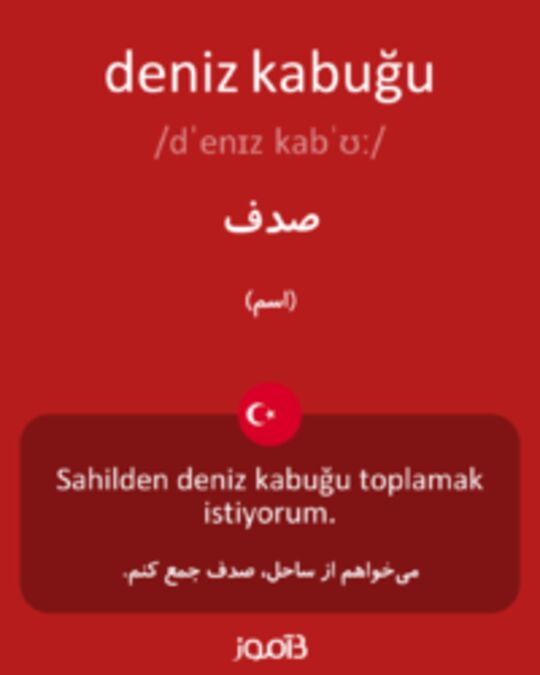  تصویر deniz kabuğu - دیکشنری انگلیسی بیاموز