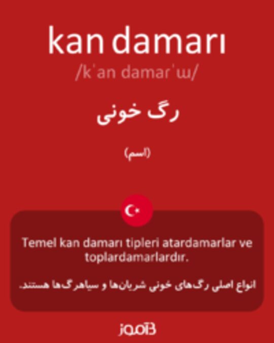  تصویر kan damarı - دیکشنری انگلیسی بیاموز