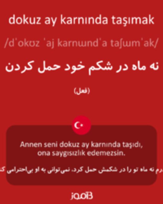  تصویر dokuz ay karnında taşımak - دیکشنری انگلیسی بیاموز