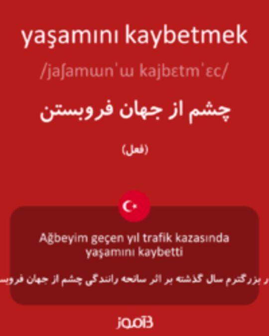  تصویر yaşamını kaybetmek - دیکشنری انگلیسی بیاموز