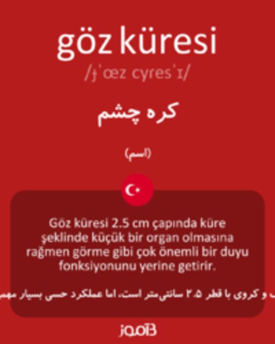  تصویر göz küresi - دیکشنری انگلیسی بیاموز