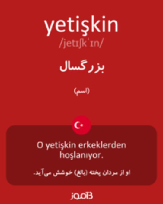  تصویر yetişkin - دیکشنری انگلیسی بیاموز