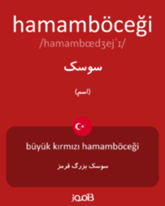  تصویر hamamböceği - دیکشنری انگلیسی بیاموز