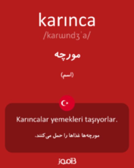  تصویر karınca - دیکشنری انگلیسی بیاموز