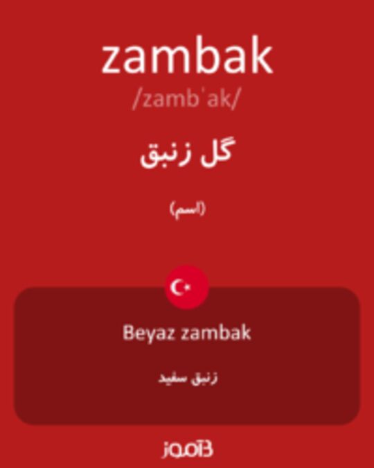  تصویر zambak - دیکشنری انگلیسی بیاموز