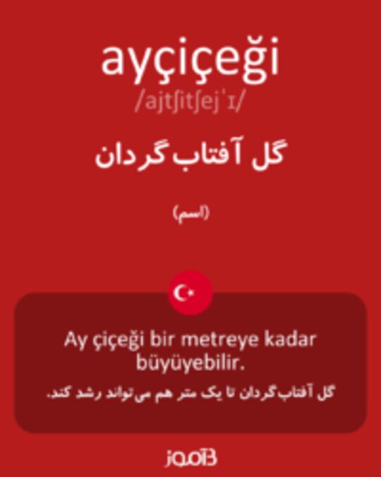  تصویر ayçiçeği - دیکشنری انگلیسی بیاموز