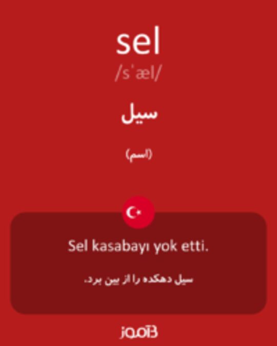  تصویر sel - دیکشنری انگلیسی بیاموز