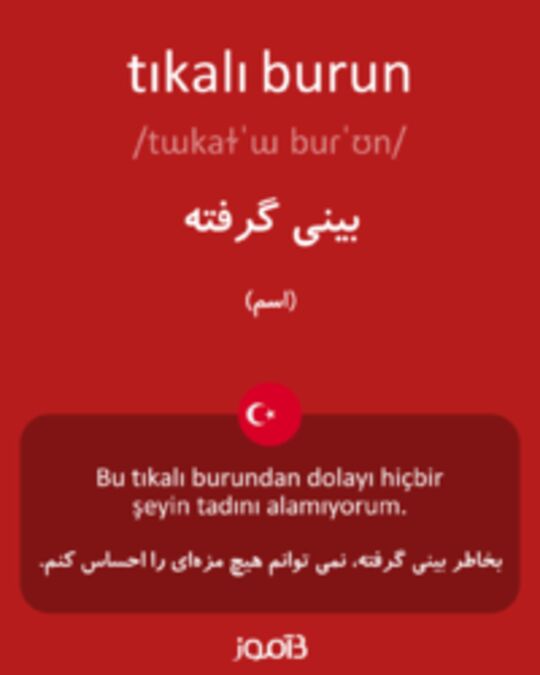  تصویر tıkalı burun - دیکشنری انگلیسی بیاموز