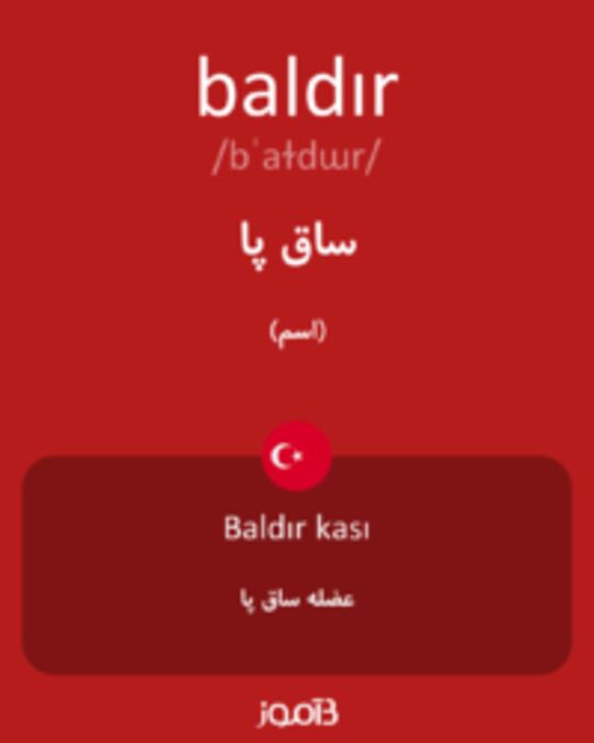  تصویر baldır - دیکشنری انگلیسی بیاموز