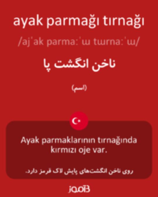  تصویر ayak parmağı tırnağı - دیکشنری انگلیسی بیاموز