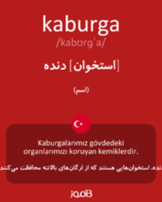  تصویر kaburga - دیکشنری انگلیسی بیاموز