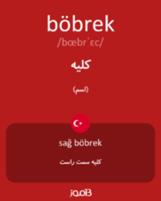  تصویر böbrek - دیکشنری انگلیسی بیاموز