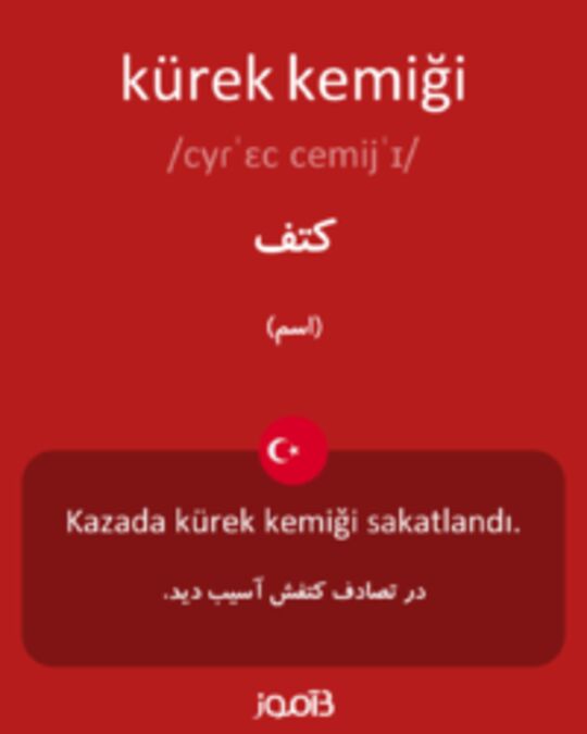  تصویر kürek kemiği - دیکشنری انگلیسی بیاموز