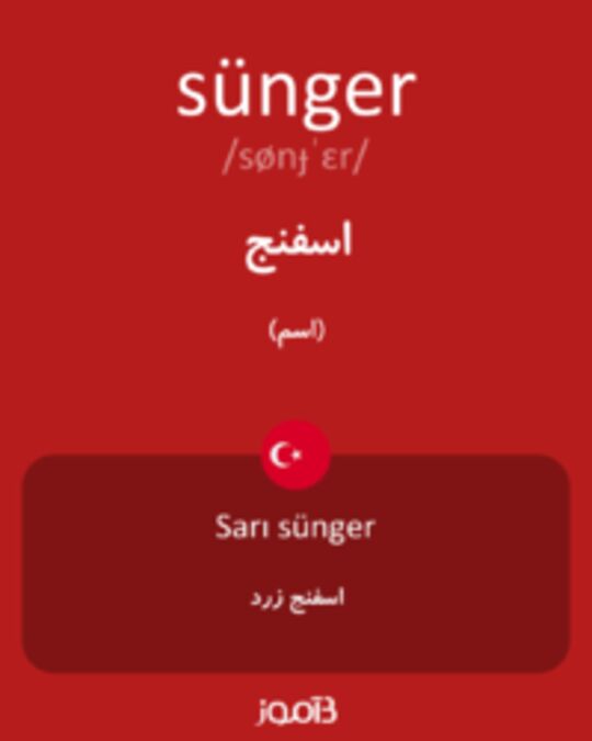  تصویر sünger - دیکشنری انگلیسی بیاموز