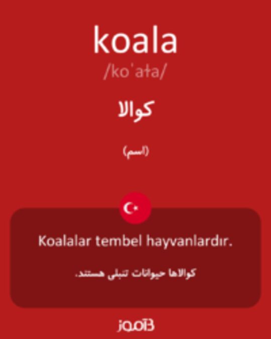  تصویر koala - دیکشنری انگلیسی بیاموز