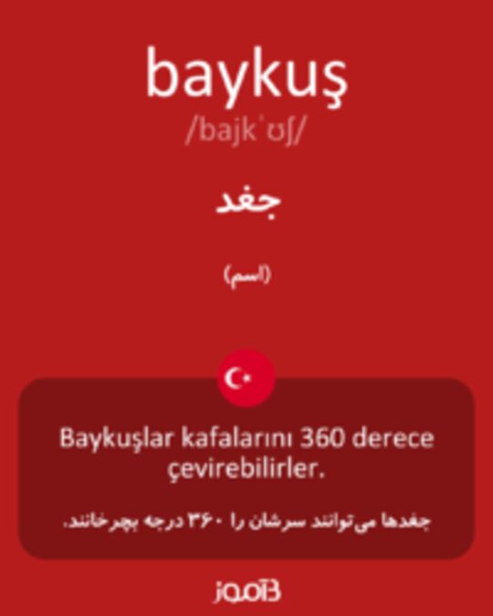  تصویر baykuş - دیکشنری انگلیسی بیاموز