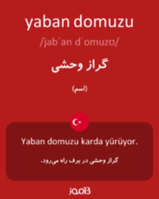  تصویر yaban domuzu - دیکشنری انگلیسی بیاموز