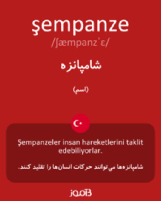  تصویر şempanze - دیکشنری انگلیسی بیاموز