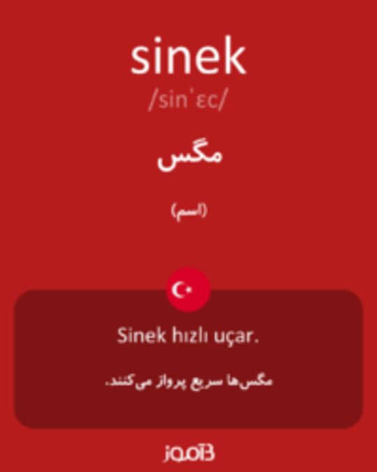  تصویر sinek - دیکشنری انگلیسی بیاموز