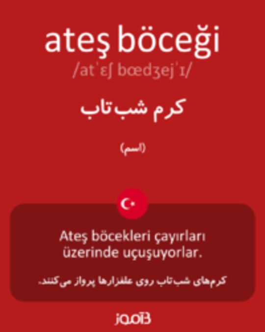  تصویر ateş böceği - دیکشنری انگلیسی بیاموز