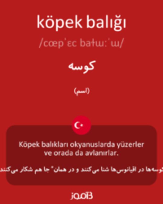  تصویر köpek balığı - دیکشنری انگلیسی بیاموز