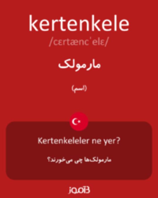  تصویر kertenkele - دیکشنری انگلیسی بیاموز